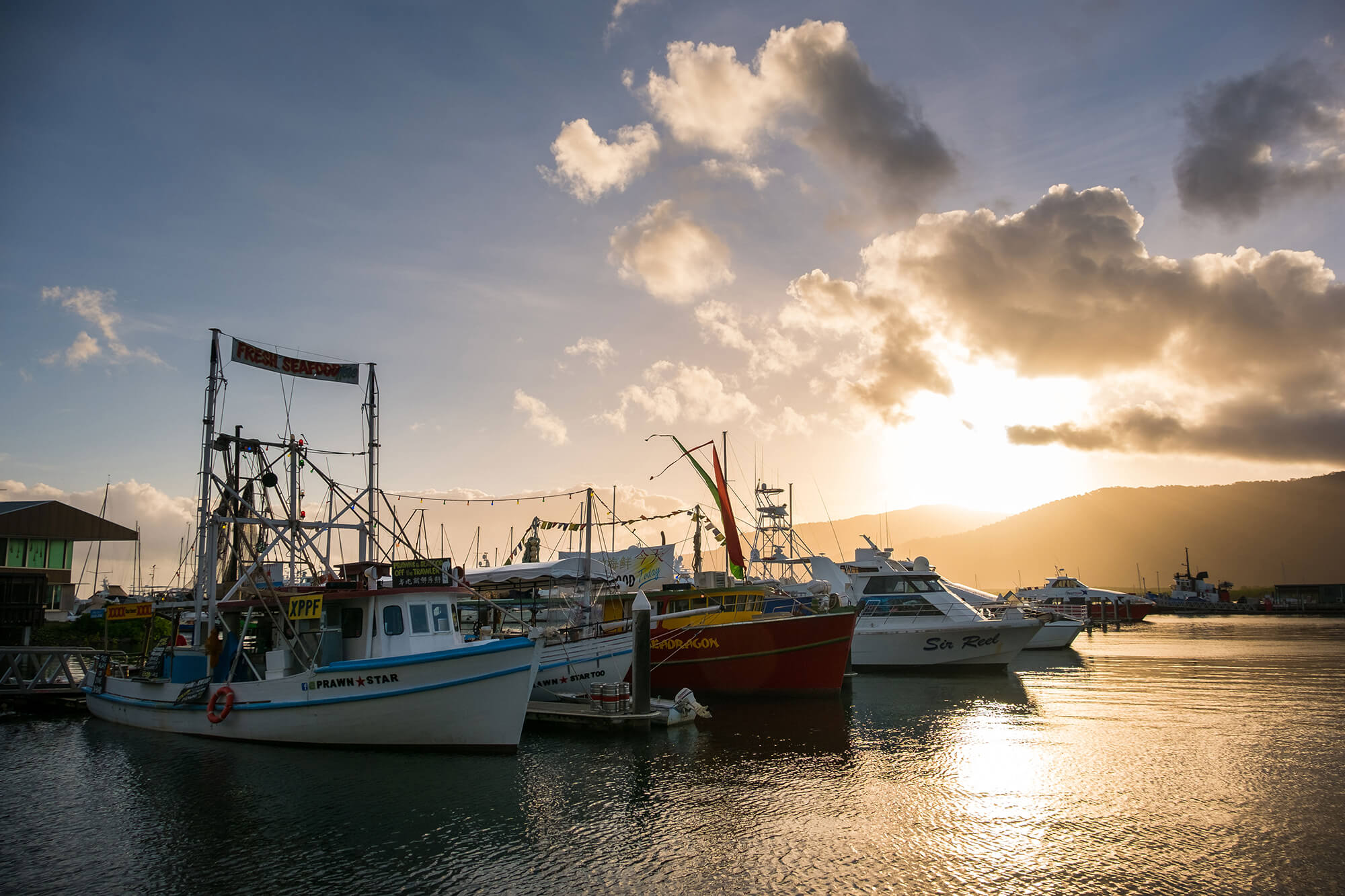 Image of Fisheries Campaign - Australian Marine Conservation Society