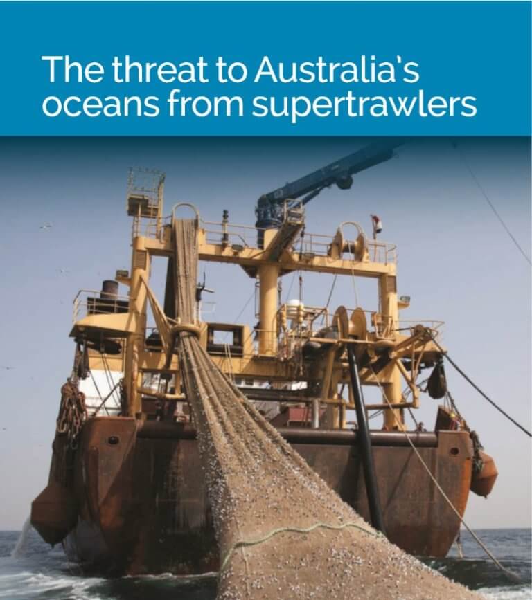 Report The threat to Australia�s oceans from