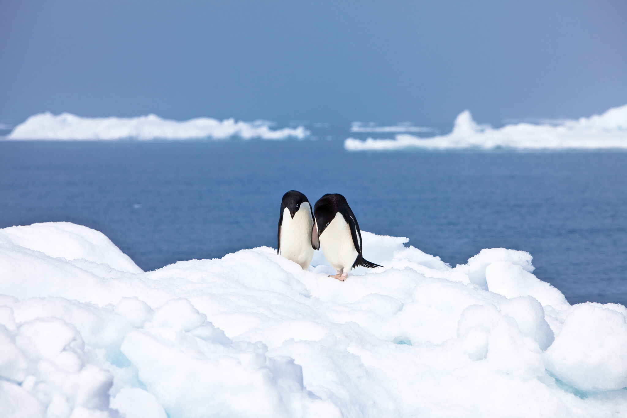 Protect the East Antarctic