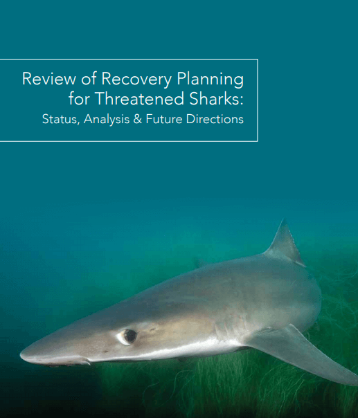 Review of Recovery Planning Report Sharks