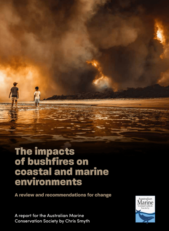 Bushfires Impacts on our oceans report Australian Marine Conservation Society