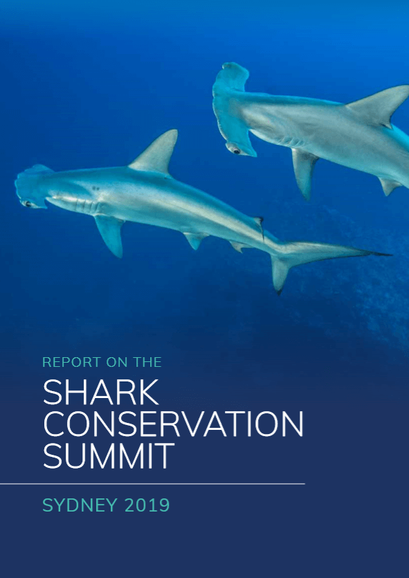 Shark Summit Report 