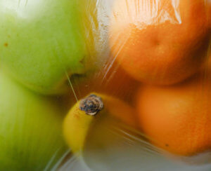 Fruit in soft plastic 