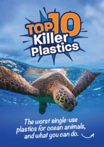 Top 10 Killer Plastics booklet