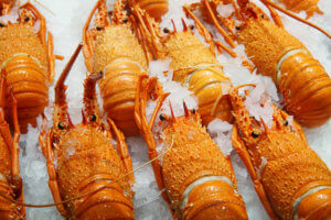 Easter or Western Rock Lobster Sustainable Seafood Choice