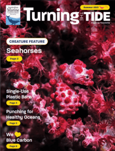 Turning the tide magazine Summer 2021 issue