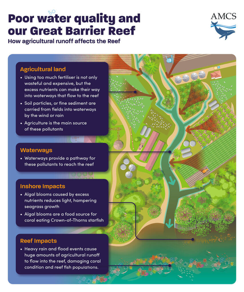 Poor water quality and our Great Barrier Reef infographic