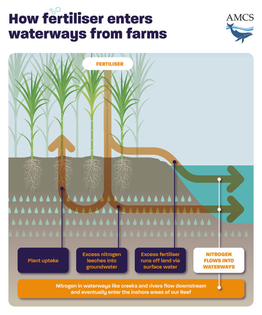 How fertiliser enters waterways from farms and industrial agriculture infographic