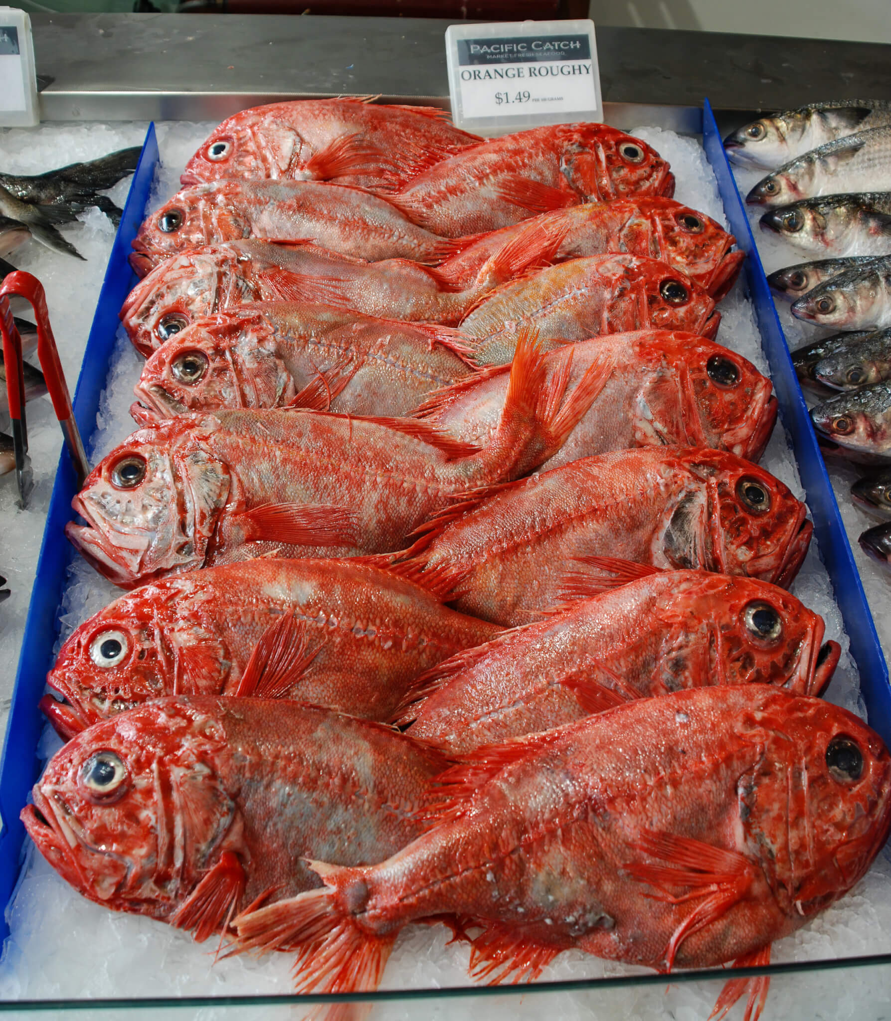 Orange Roughy Price EXPLOSION: What's Going On?