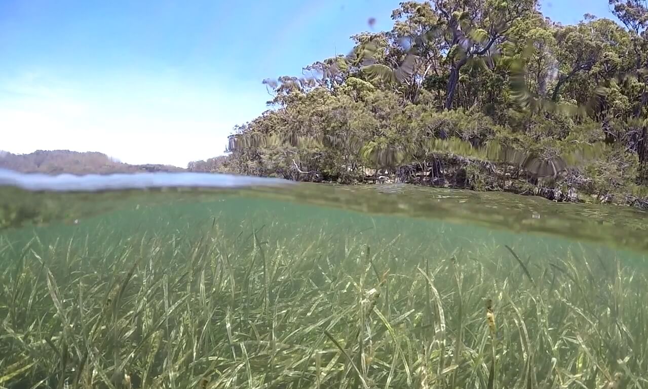 Protecting NSW Marine Parks