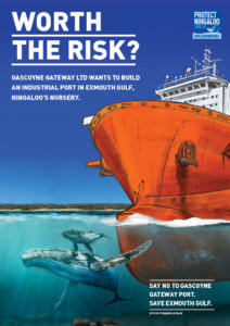 Protect Ningaloo's 'Worth the Risk?' poster