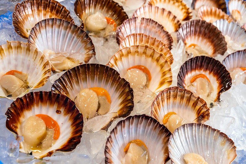 Marine conservationists renew calls to close scallop fishery as stocks