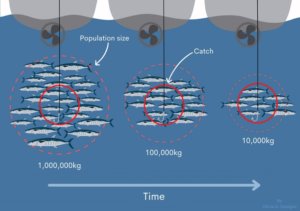 Hyperstability illustration (Image source: JCU Fish and Fisheries lab)