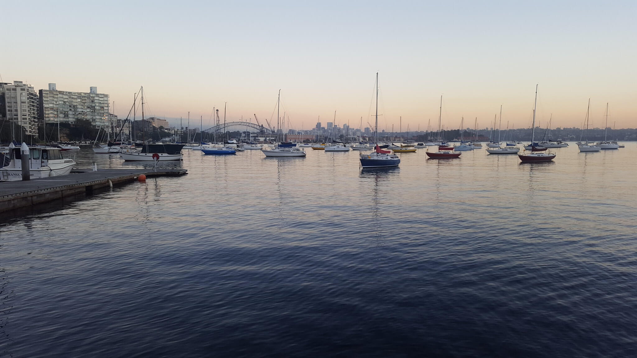 Sydney Harbour restoration project ‘encouraging sign’ for marine conservation Australian