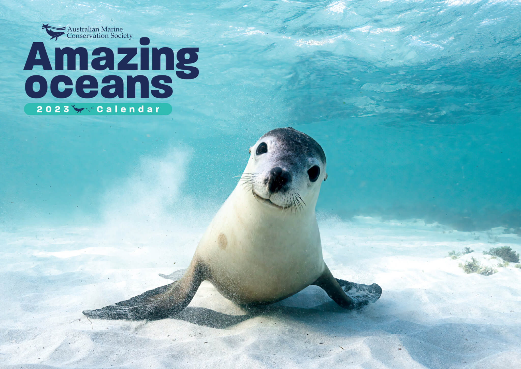 Oceans Of Fun Calendar prntbl concejomunicipaldechinu gov co Oceans Of Fun Calendar prntbl concejomunicipaldechinu gov co