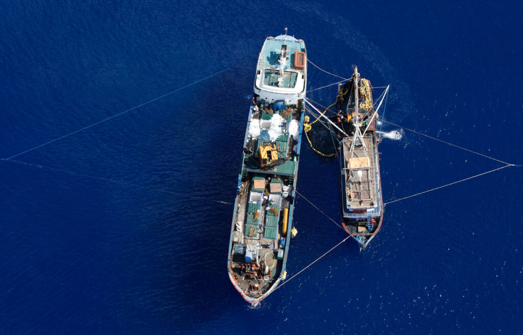 The image shows two large ships out at sea the one on the left being larger. In between the two ships are some layered nets which the ships are using to transship their catch.