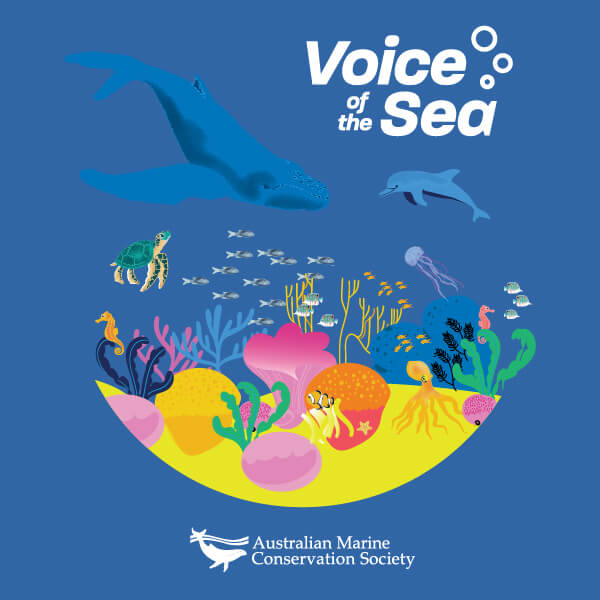 AMCS Voice of the Sea T-shirt