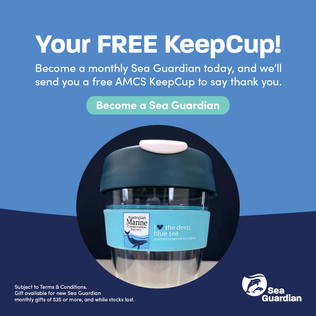FREE AMCS KeepCup for new Sea Guardians