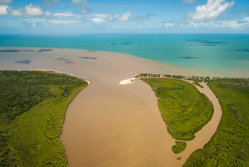 No reprieve for Great Barrier Reef last summer – still impacted by climate change and water pollution