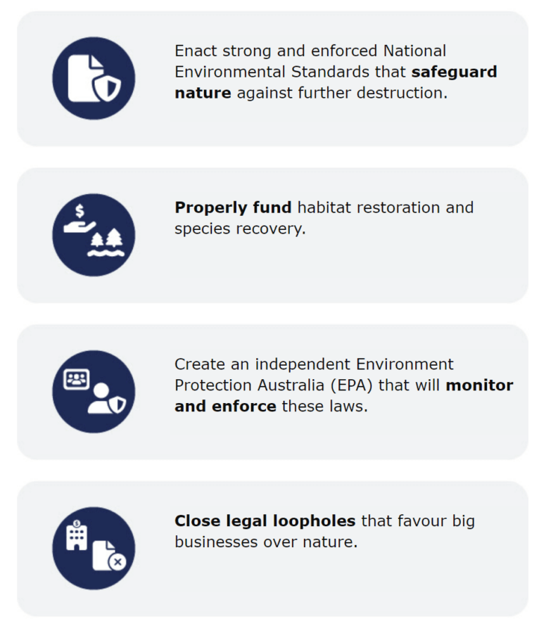 Fish and Wildlife Service Fails to Protect Key Habitat for Imperiled ... - How To Protect Endangered Species