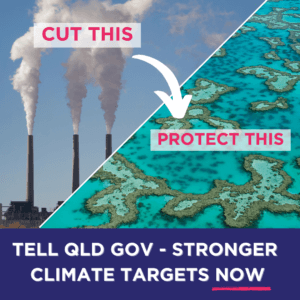 Cut this to protect that - Tell QLD Governments that we need stronger climate targets now!