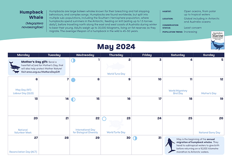 2024 Amazing Oceans Calendar Australian Marine Conservation Society