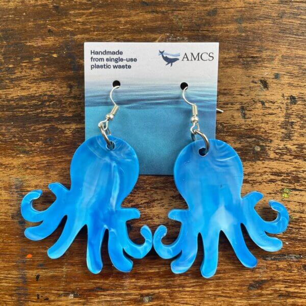 AMCSEarrings_Blue