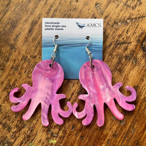 AMCSEarrings_Pink