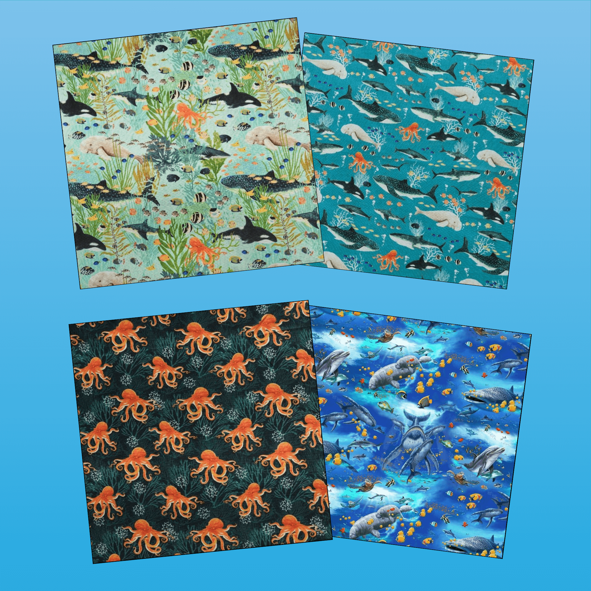 beeswax-wraps-australian-marine-conservation-society