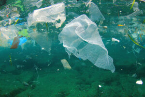 Plastic pollution floating in the ocean.