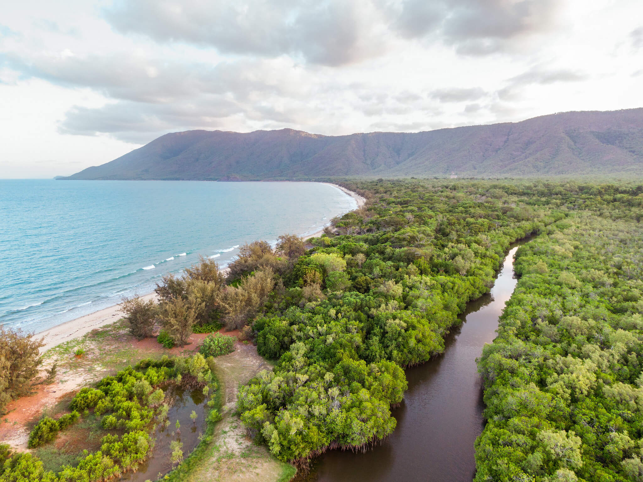 Broad support for new laws closing Reef tree clearing loopholes