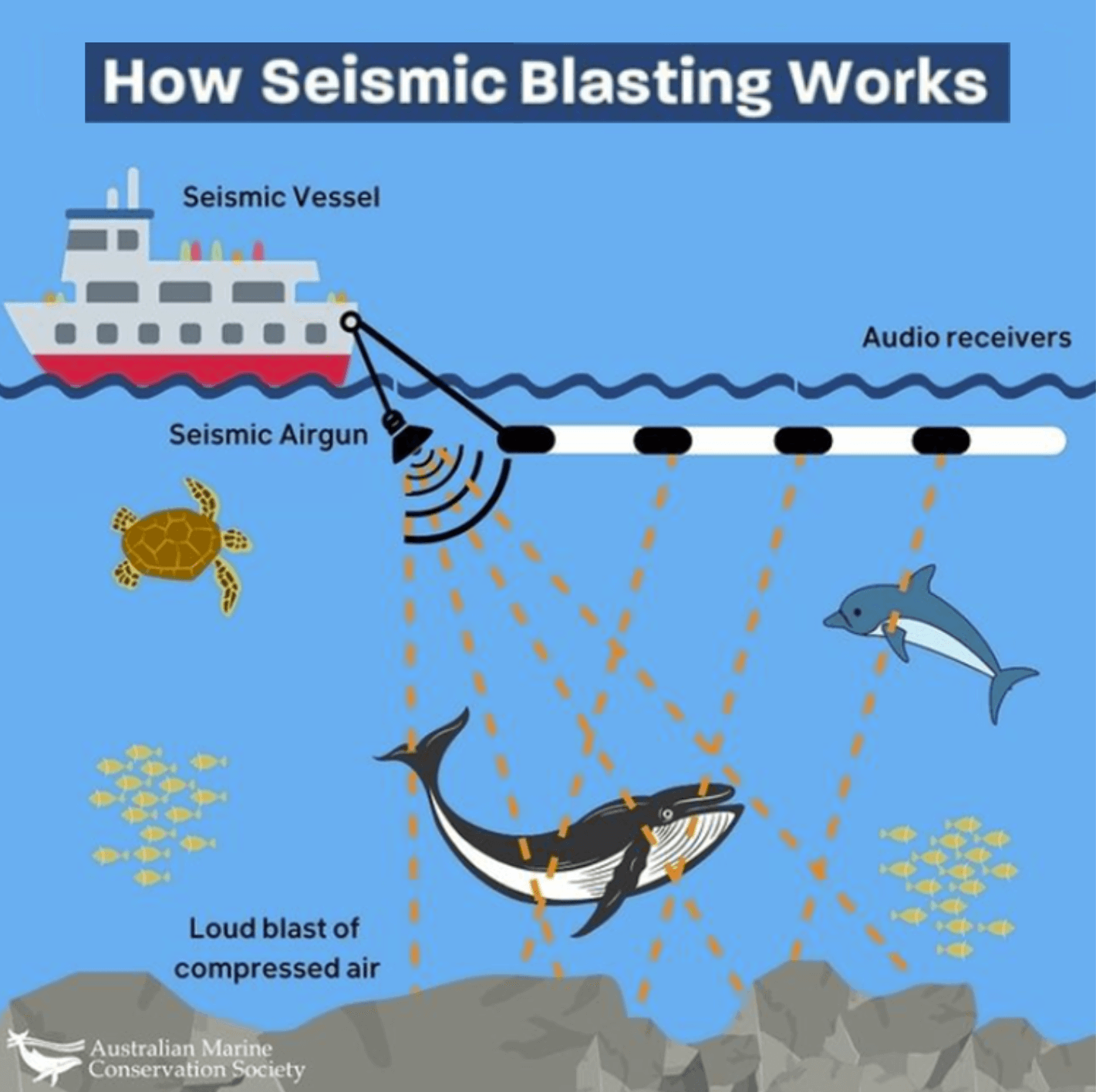 How Seismic Blasting Works