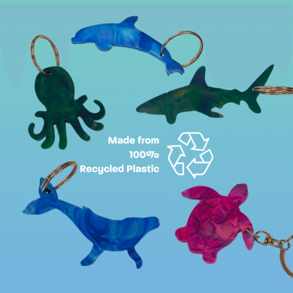 AMCS Recycled Plastic Keyring