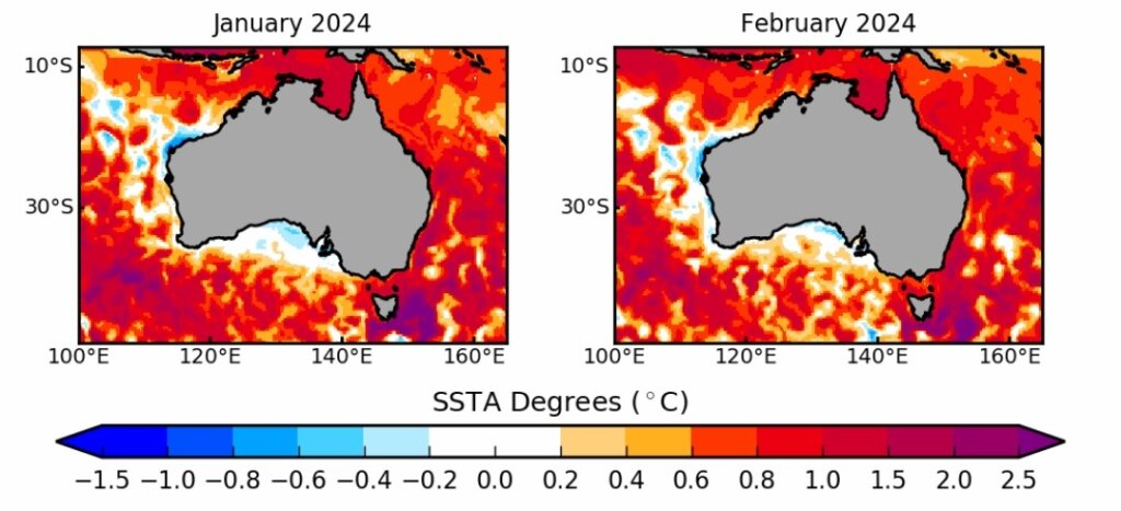 Bureau of Meteorology predictions of Australian SST anomalies in January and February 2024.