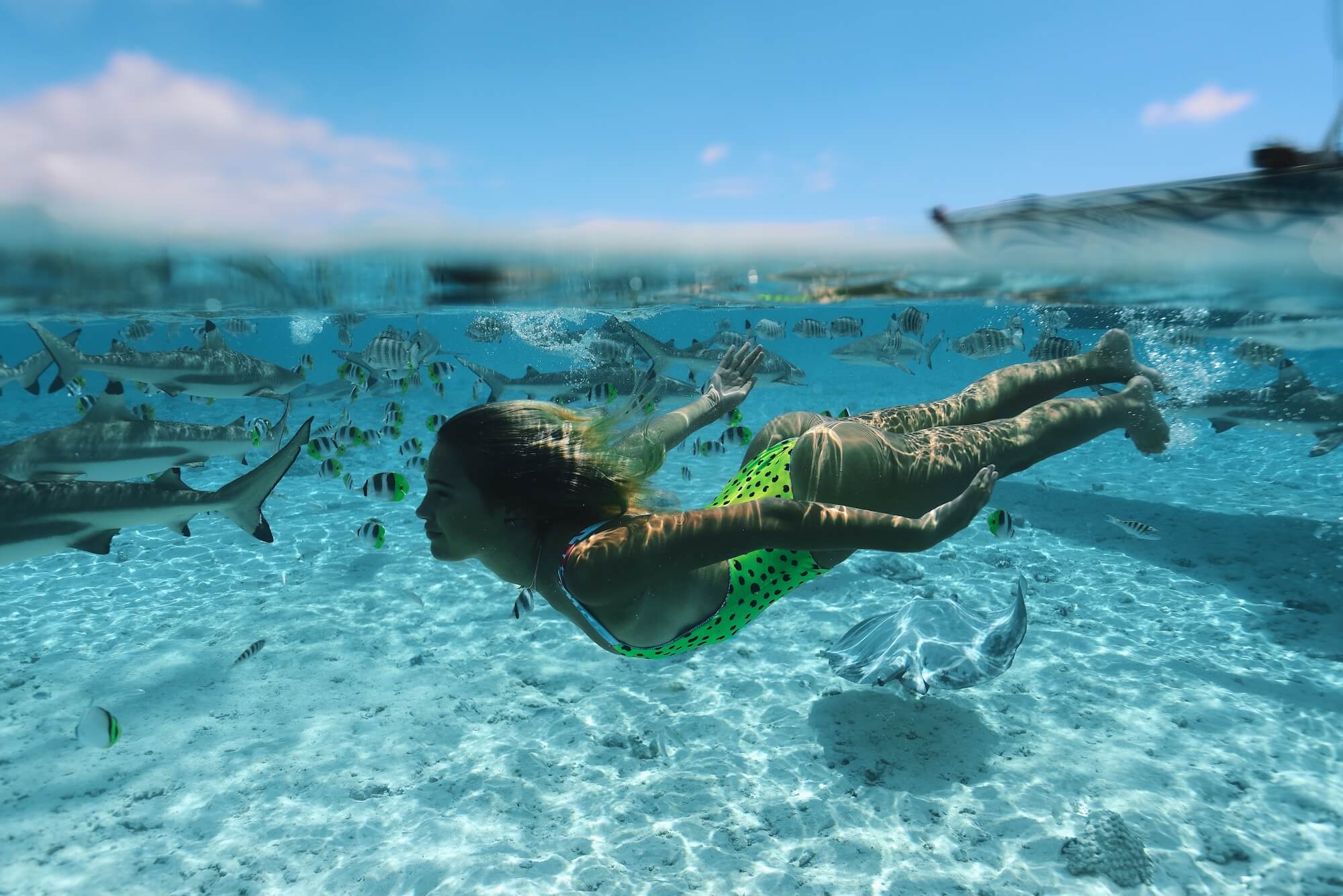 Moana Bikini and AMCS Australian Marine Conservation Society