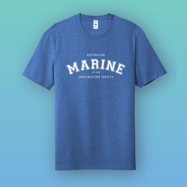 MARINE_Shirt_Crew_Blue