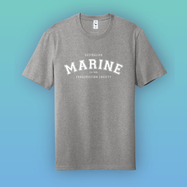 MARINE_Shirt_Crew_Grey