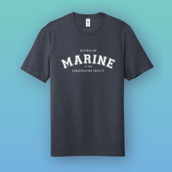 MARINE_Shirt_Crew_Navy