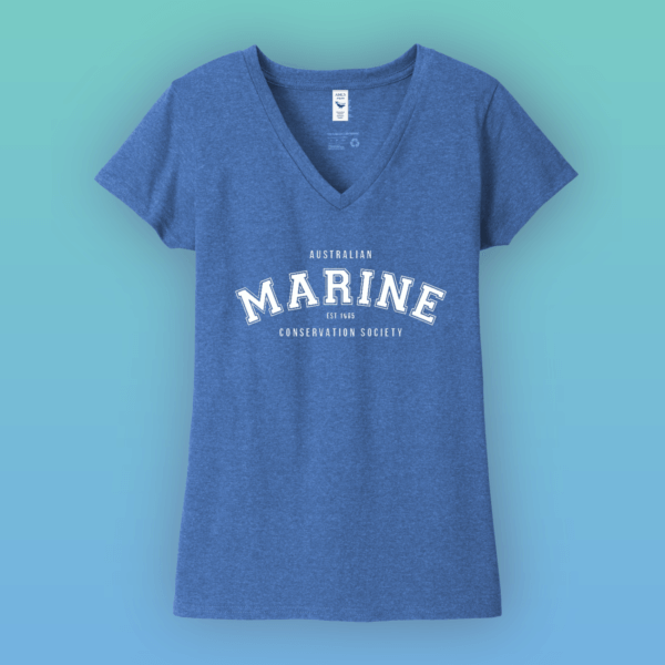 MARINE_Shirt_VNeck_Blue