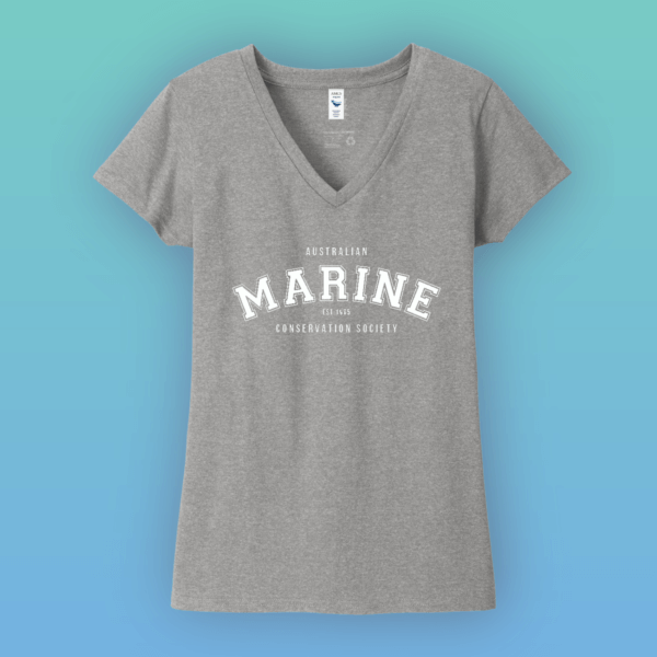 MARINE_Shirt_VNeck_Grey