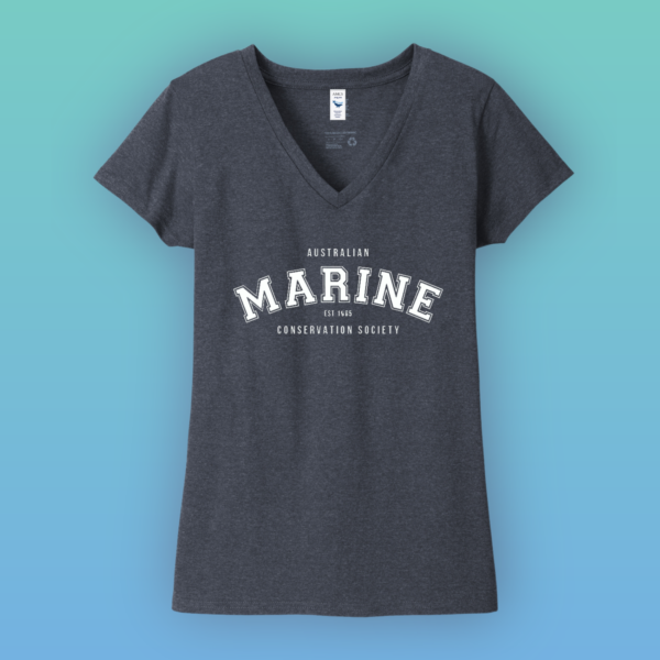 MARINE_Shirt_VNeck_Navy