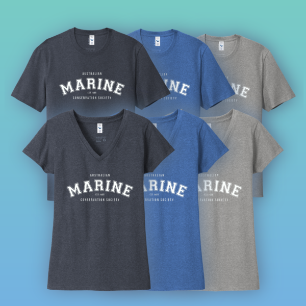 MARINE Shirt - Australian Marine Conservation Society