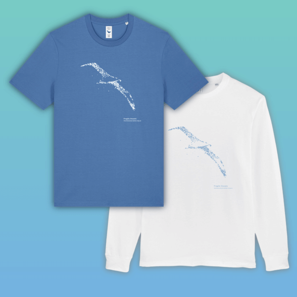 Fragile Oceans Shirt (Albatross)