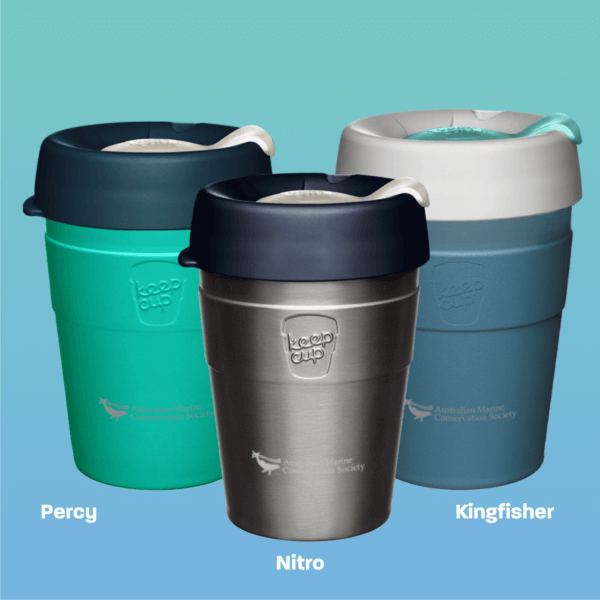 AMCS x KeepCup Thermal