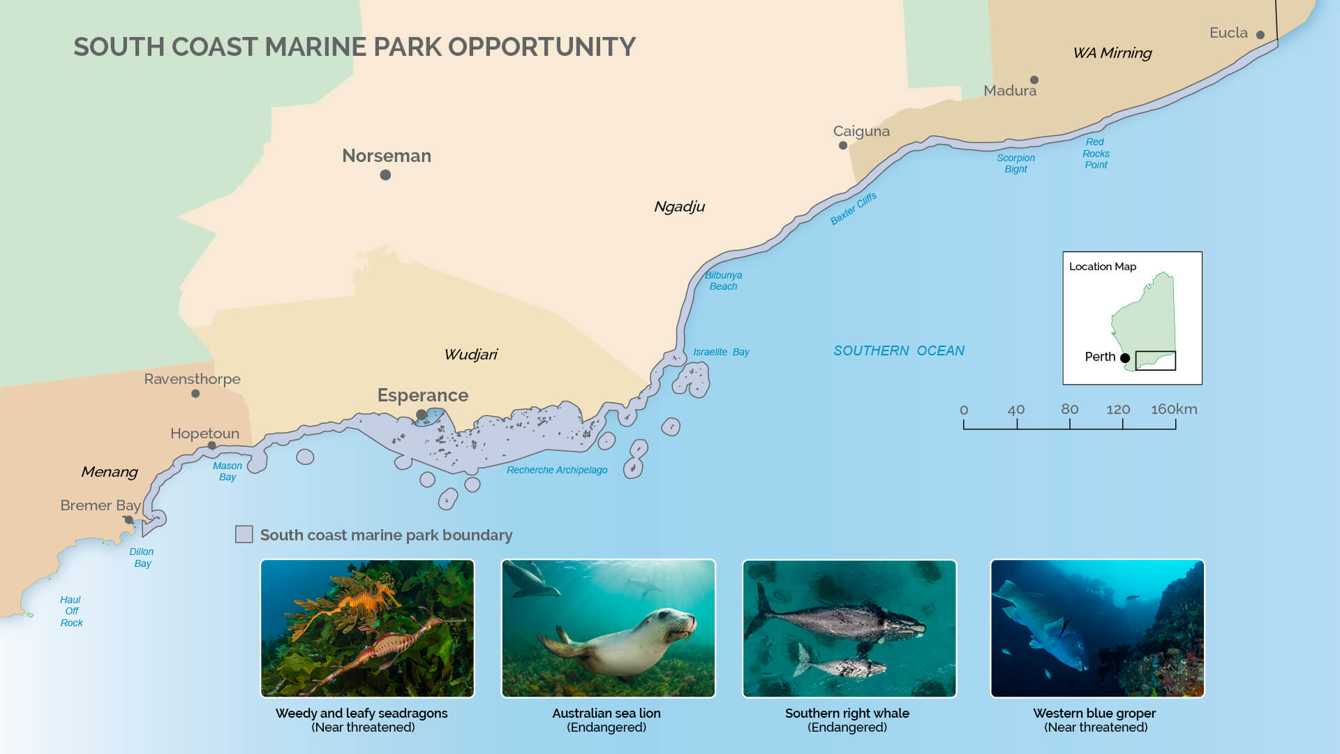 A map of our opportunity for a South Coast Marine Park in WA.