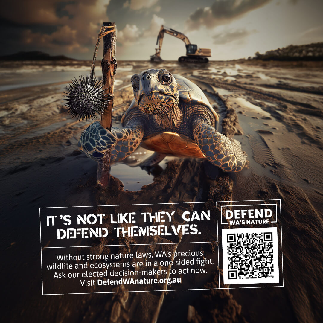 Animal Defender WA Nature Laws Protect Ningaloo