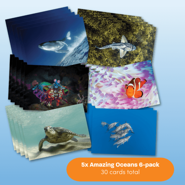 Greeting Card Bundles - Image 4
