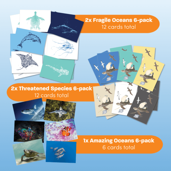 Greeting Card Bundles