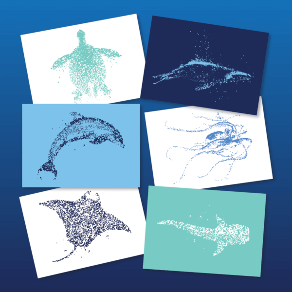 AMCS Greeting Cards - Image 3