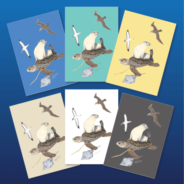 AMCS Greeting Cards - Image 2